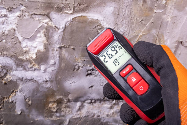 Best Mold Remediation for Specific Building Types in Parkersburg, WV